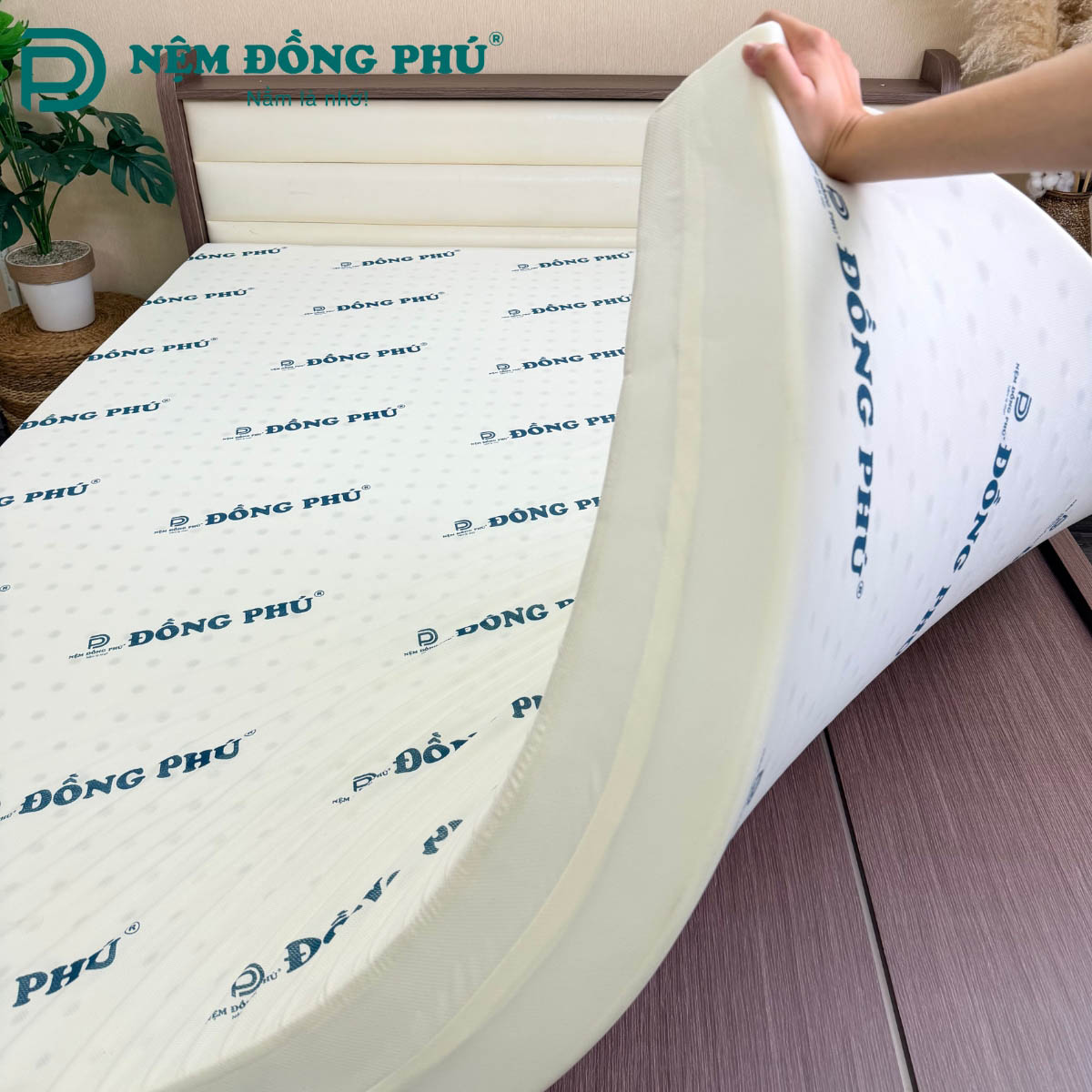 Nên chọn độ dày đệm bao nhiêu là phù hợp?