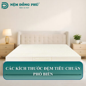 kich thuoc dem tieu chuan 0