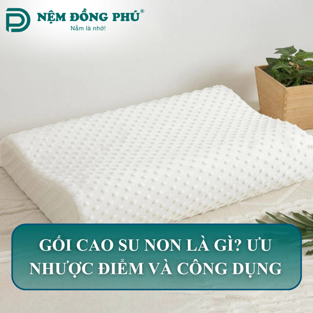 goi cao su non la gi
