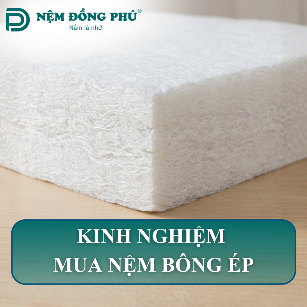 kinh nghiệm mua đệm bông ép
